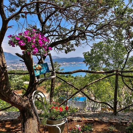 Hotel Tramontana Glamping Bar Exteriér fotografie